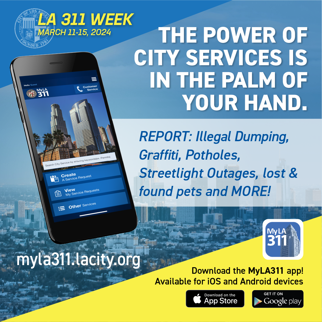 National 311 Day is March 11