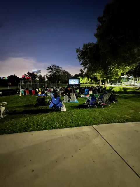 Movies in the Park Success